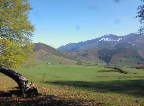 Portillo de Brañes, al lfondo El Cornón de Peña Sagra