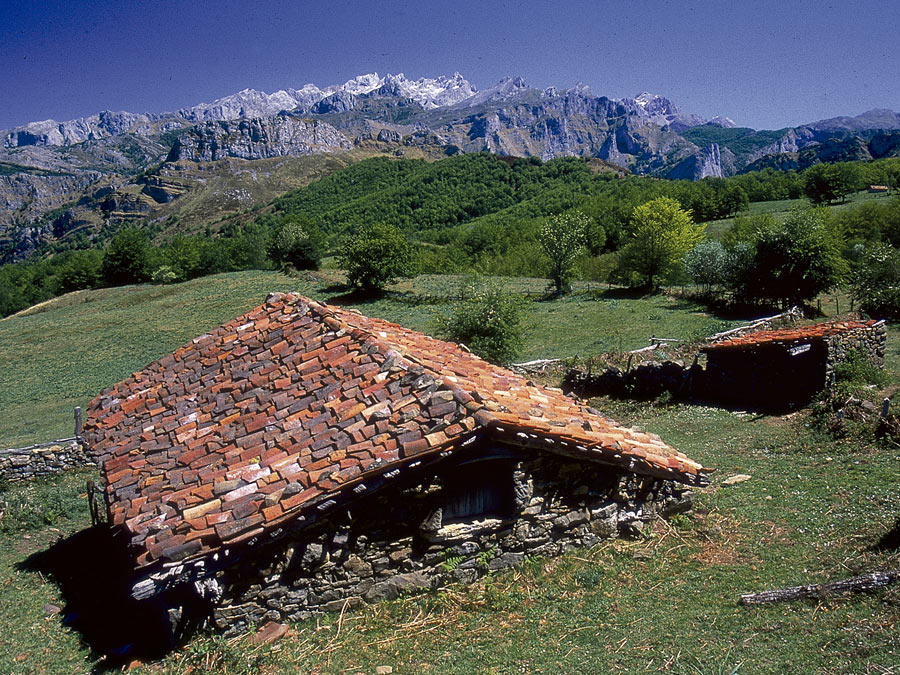 Parque Natural de Ponga -Asturias